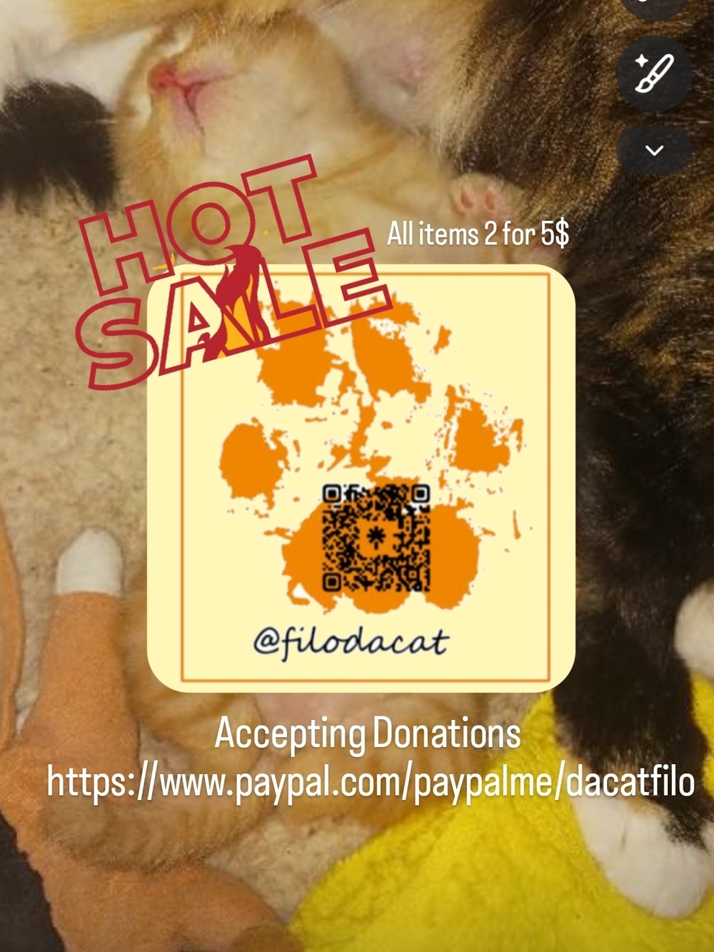 Hot Sale!